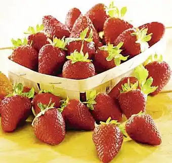 Petit Casino FRAISE GARIGUETTE offre
