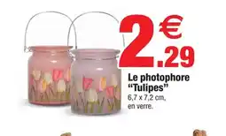Bazarland Le photophore offre