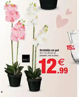 Bazarland Orchidée en pot offre