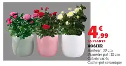 Bi1 Rosier offre