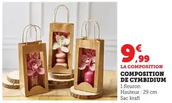 Bi1 Composition de cymbidium offre