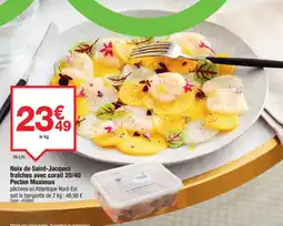 Promocash Noix de Saint-Jacques fraîches avec corail 20/40 Pecten Maximus offre