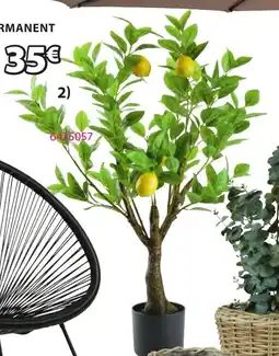 JYSK Plante artificielle gransanger offre