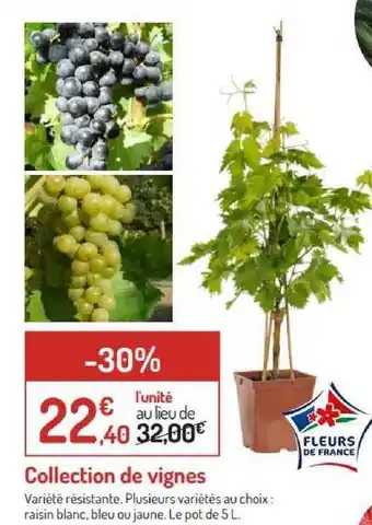 Botanic Collection De Vignes offre