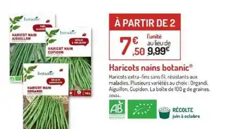 Haricots Nains Botanic