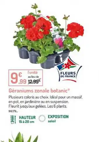Botanic Géraniums Zonale Botanic offre