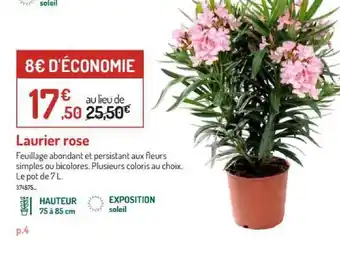 Botanic Laurier Rose offre