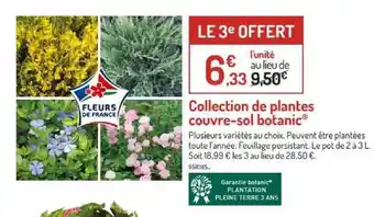 Botanic Collection De Plantes Couvre-sol Botanic offre