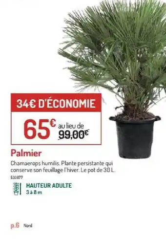 Botanic Palmier offre