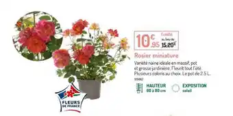 Botanic Rosier Miniature offre