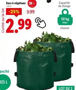 Lidl PARKSIDE Sacs à végétaux offre