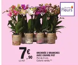 E.Leclerc KOLIBRI Orchidée 2 branches avec couvre pot offre