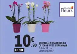 E.Leclerc Express Orchidée 2 branches en ,90 cascade avec céramique offre