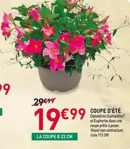 RAGT Jardin & Maison Coupe d'été offre