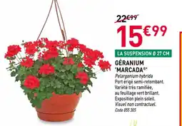 RAGT Jardin & Maison Géranium marcada offre