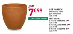RAGT Jardin & Maison Pot corsica offre