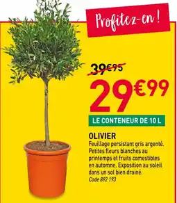 RAGT Jardin & Maison Olivier offre