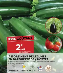 Bricomarché Assortiment de légumes en barquette de 3 mottes offre