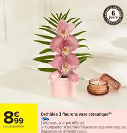 Carrefour Market Orchidée 3 fleurons vase céramique offre