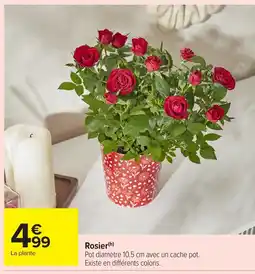Carrefour Market Rosier offre