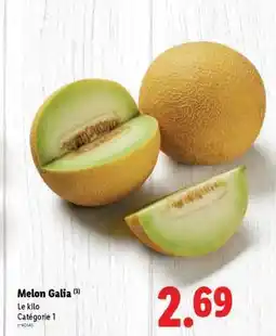 Lidl Melon Galia offre
