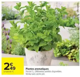 Carrefour Plantes Aromatiques offre