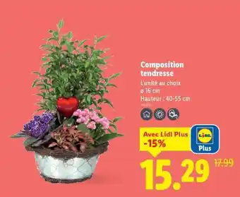 Lidl Composition tendresse offre