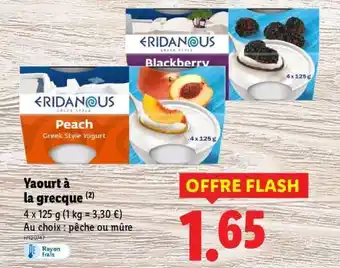 Lidl Yaourt à la grecque offre