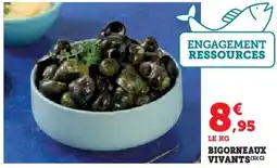 Hyper U Bigorneaux vivants offre
