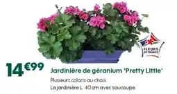 Truffaut Jardinière de géranium 'Pretty Little' offre