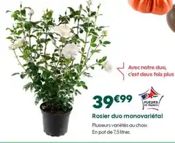 Truffaut Rosier duo monovariétal offre