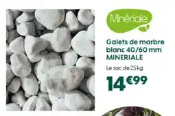 Truffaut MINERIALE Galets de marbre blanc 40/60 mm offre