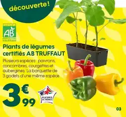 Truffaut AB TRUFFAUT Plants de légumes certifiés offre