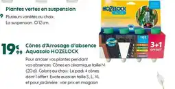 HOZELOCK Cônes d'Arrosage d'absence Aquasolo