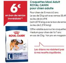 Truffaut ROYAL CANIN Croquettes Maxi Adult pour chien adulte offre