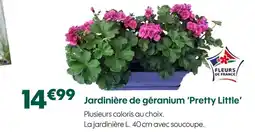 Truffaut Fleurs de France Jardinière de géranium pretty little offre