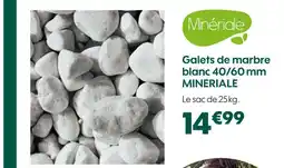 Truffaut Galets de marbre blanc 40/60 mm offre