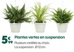 Truffaut HOZELOCK Plantes vertes en suspension offre