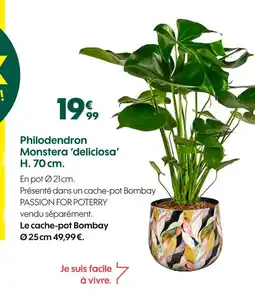 Truffaut Philodendron monstera 'deliciosa' h. 70 cm offre