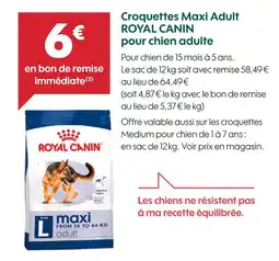 Truffaut ROYAL CANIN Croquettes maxi adult pour chien adulte offre