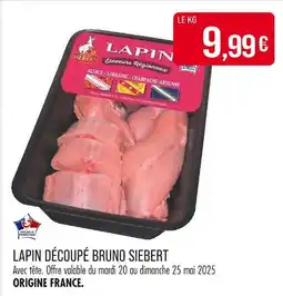 BRUNO SIEBERT LAPIN DÉCOUPÉ
