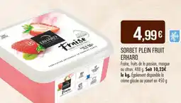 Match ERHARD Sorbet Plein Fruit offre