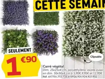 Gifi Carré végétal offre