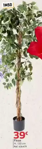 Gifi Ficus H. 150 cm offre