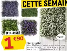 Gifi Carré végétal Dim. 25x25x4 cm offre