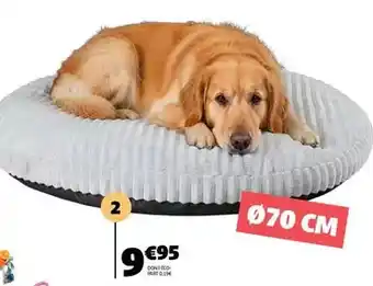 Carrefour Pink lady - pomme offre