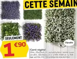 Gifi Carré végétal offre