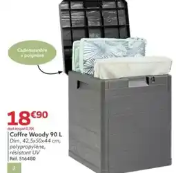 Gifi Coffre Woody offre