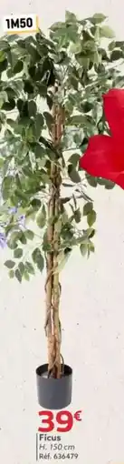 Gifi Ficus H. 150 cm offre