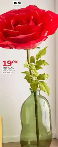 Gifi Rose XXL 075x170 cm offre